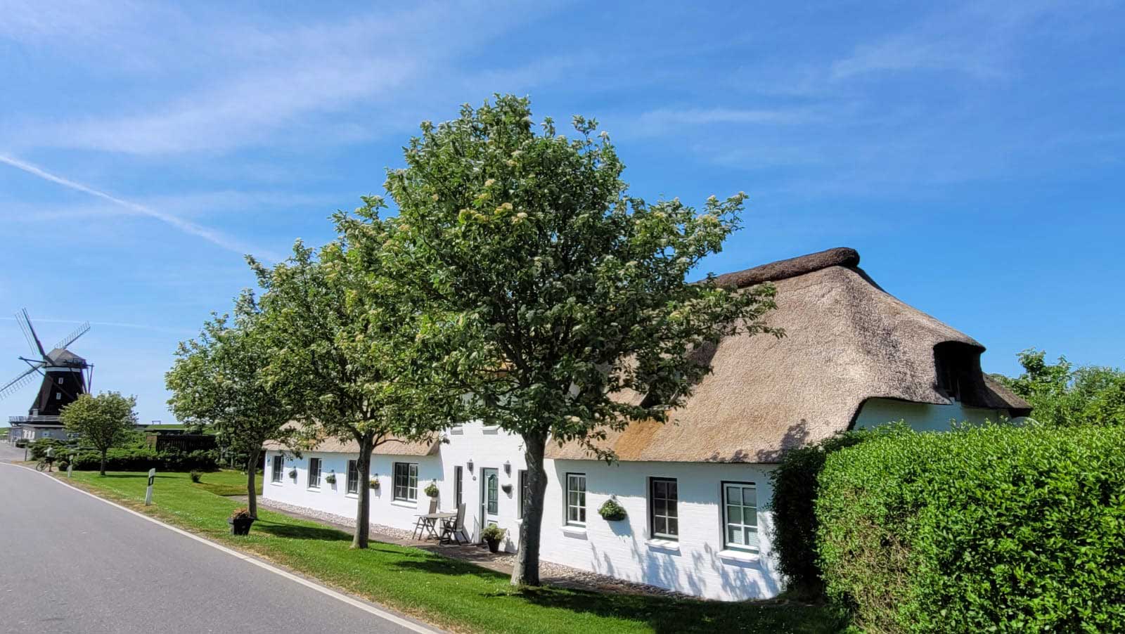 Ferienhaus Dat Möhlenhus mit Reetdach auf Pellworm mit Blick zur Nordermühle
