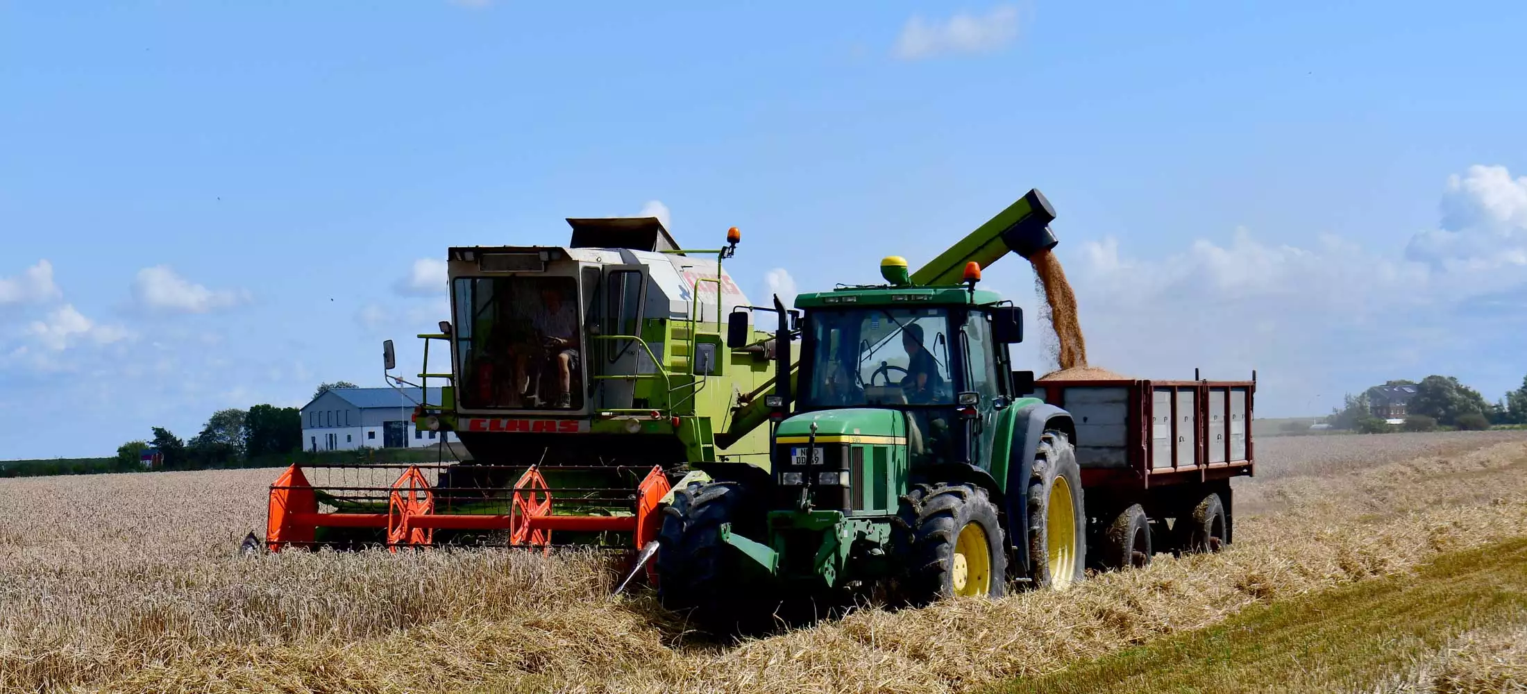 Mitten in der Getreide Ernte - Mähmaschine und Traktor mit Anhänger auf dem Feld