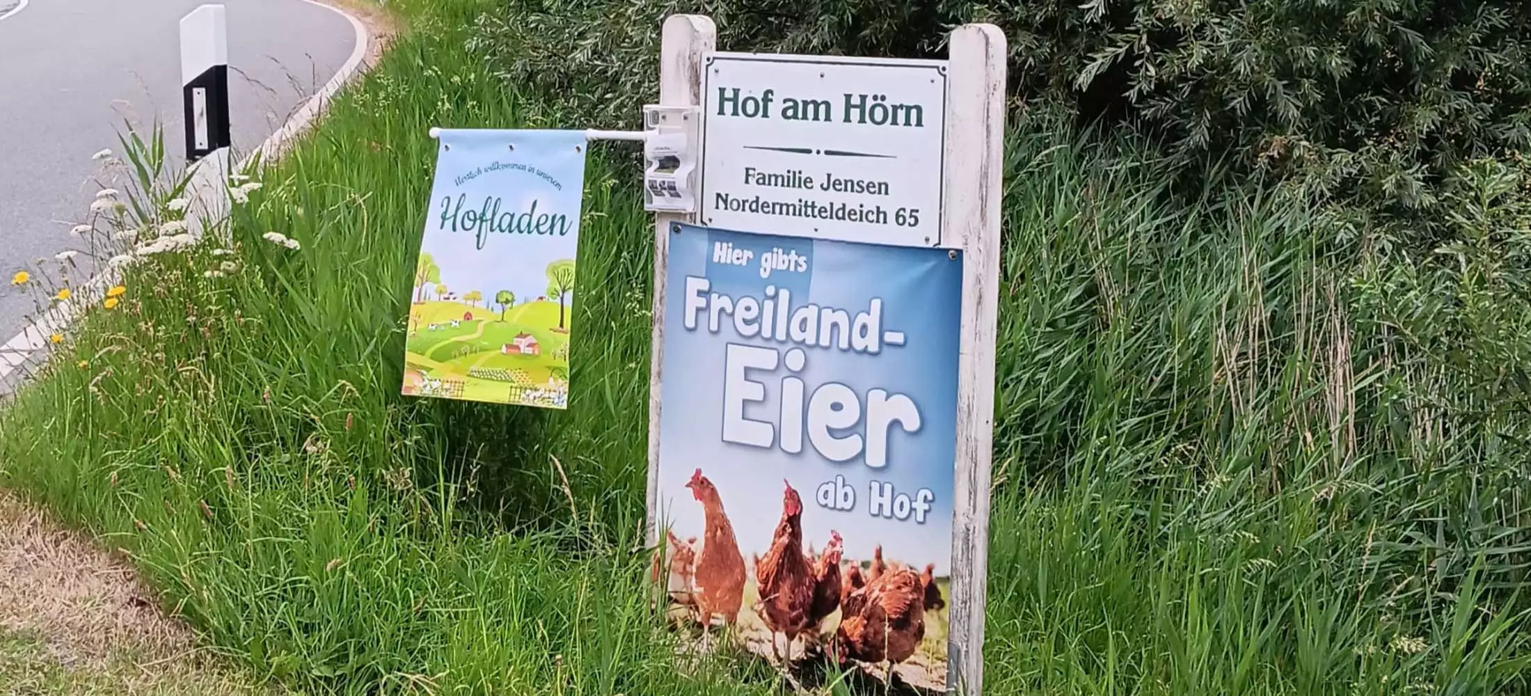 Frische Eier auf dem Hof am Hörn erhältlich