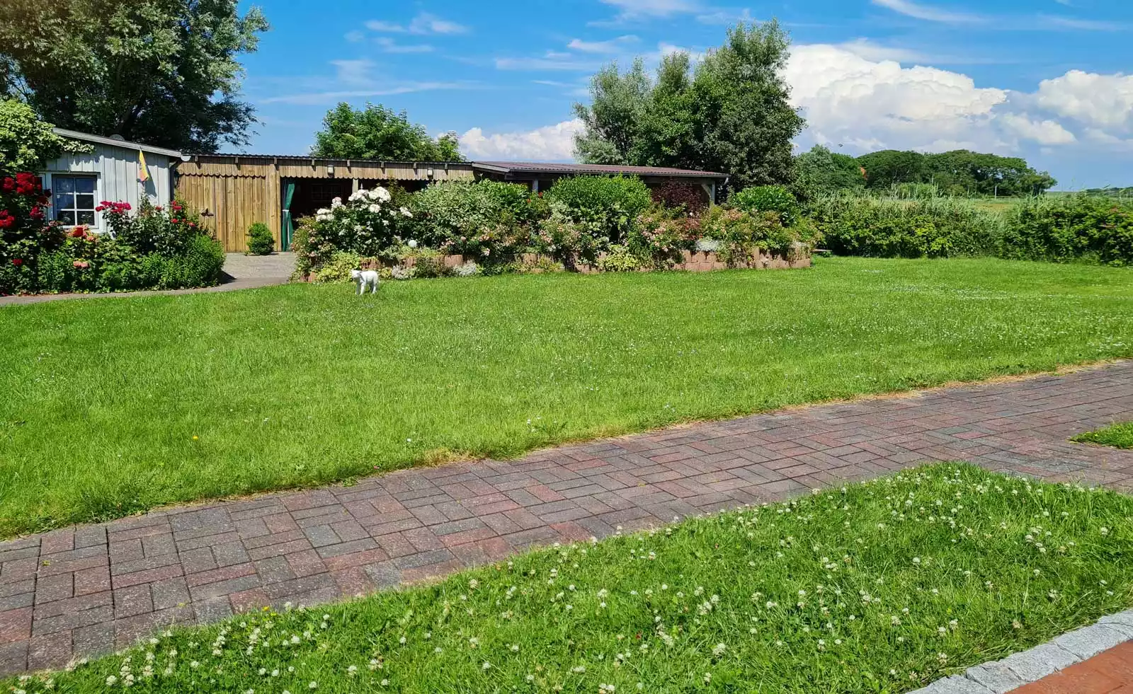 Blick von der Terrasse der Ferienwohnung Höck Hallig in den grünen Sommergarten mit blühenden Blumen auf Pellworm