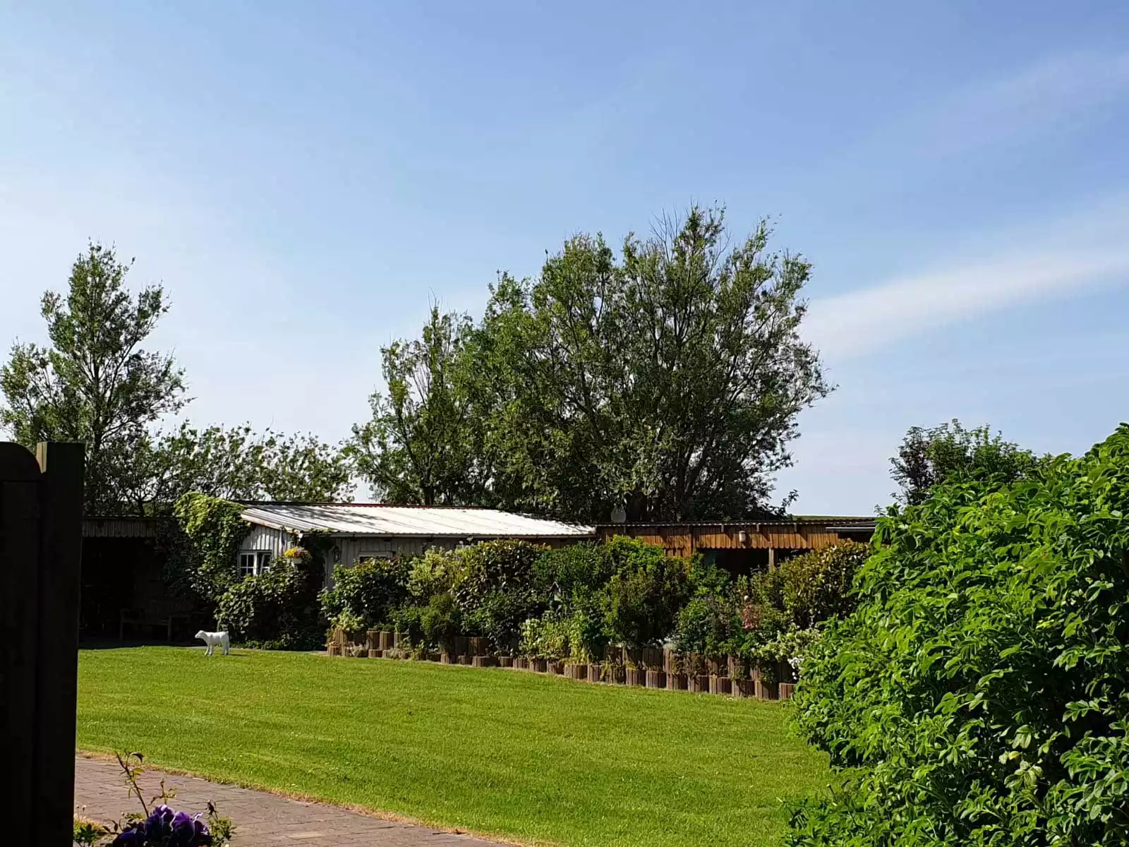 Großer Garten mit Rasenfläche und Strandkörben, Blick aus der Ferienwohnung Schimmelreiter auf Pellworm