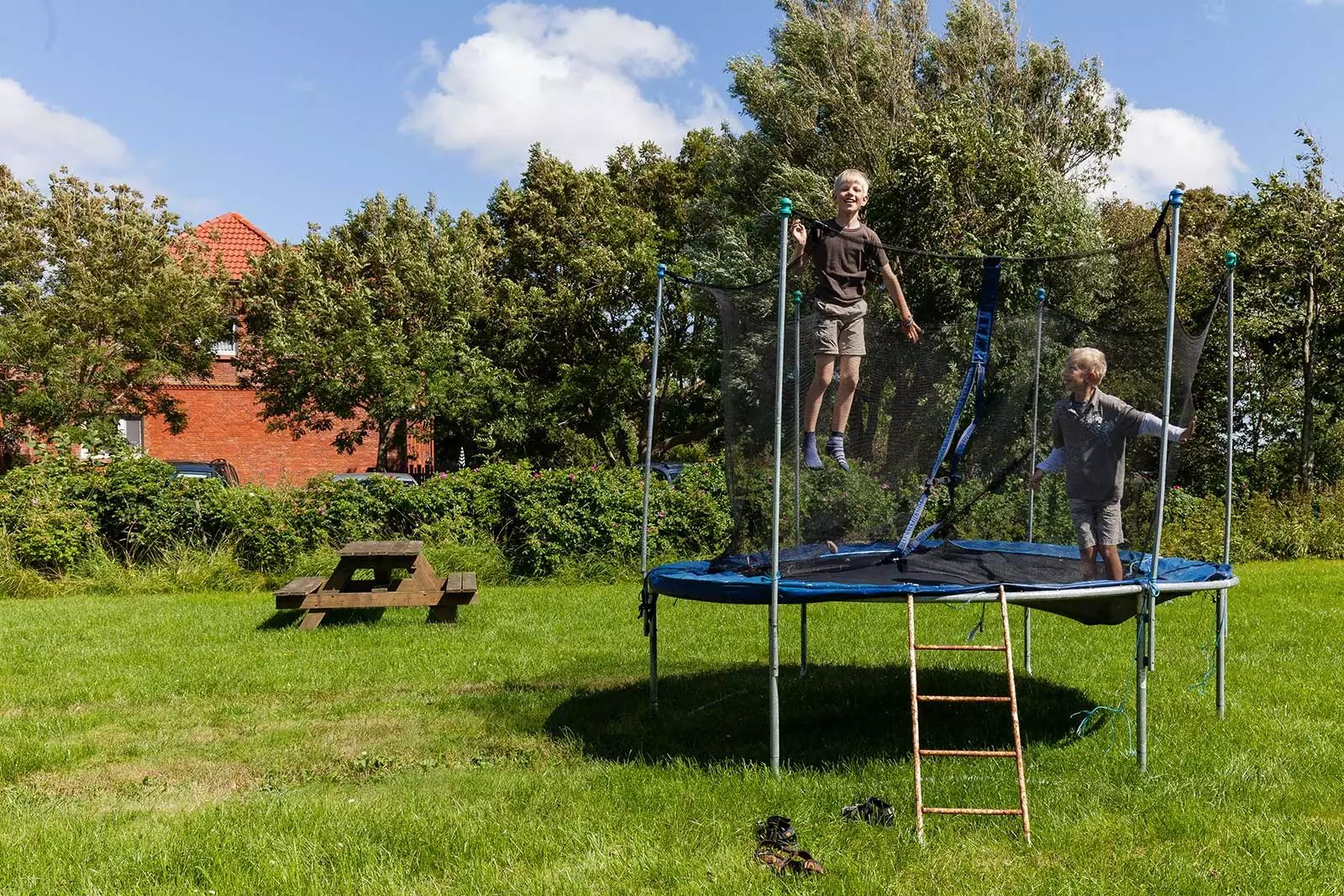 Im Schafstall können Kinder das Leben auf dem Bauernhof hautnah erleben.