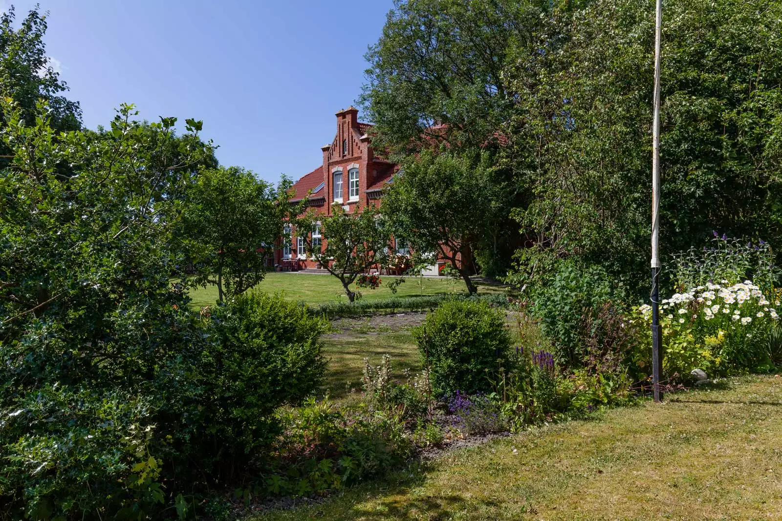 Auf der Zufahrt zum Hof am Hörn fährt ein Kind mit dem Trecker, während der Hofhund danebenläuft – echtes Bauernhofleben.