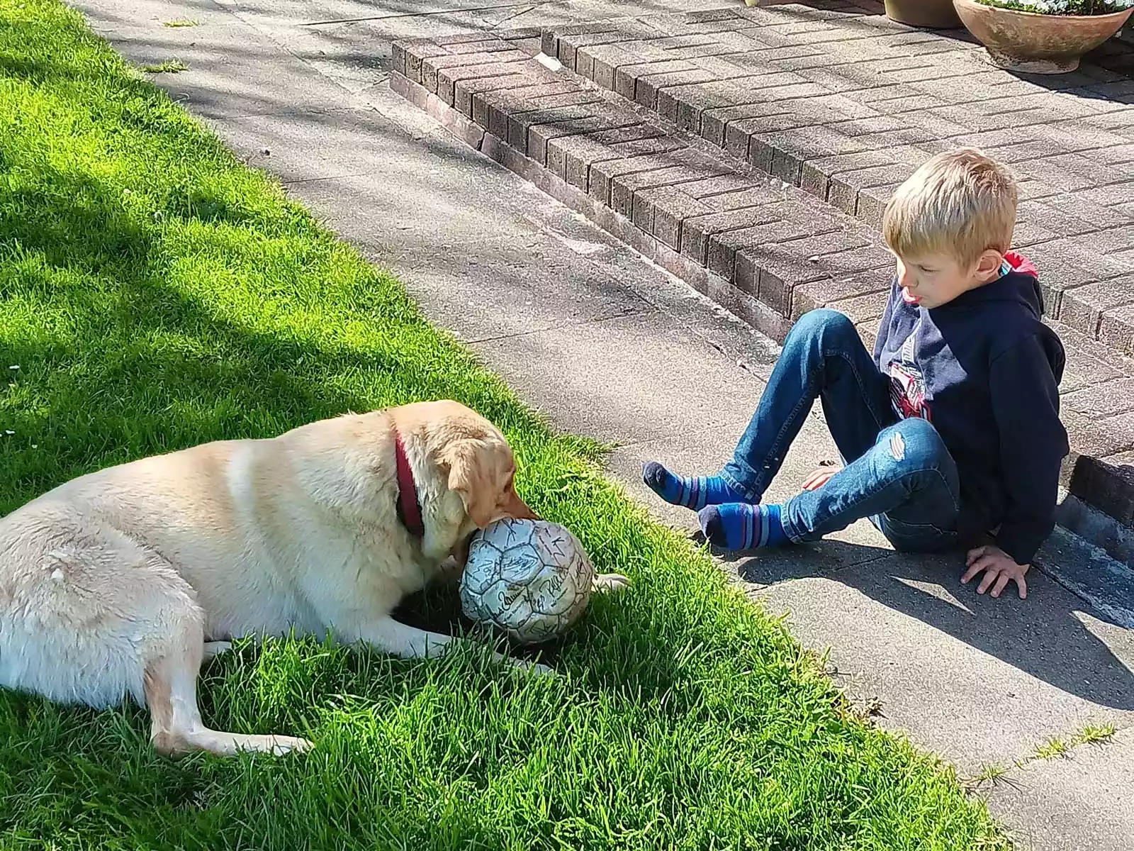 Kind spielt mit dem Hofhund auf der Wiese des Hof am Hörn auf Pellworm