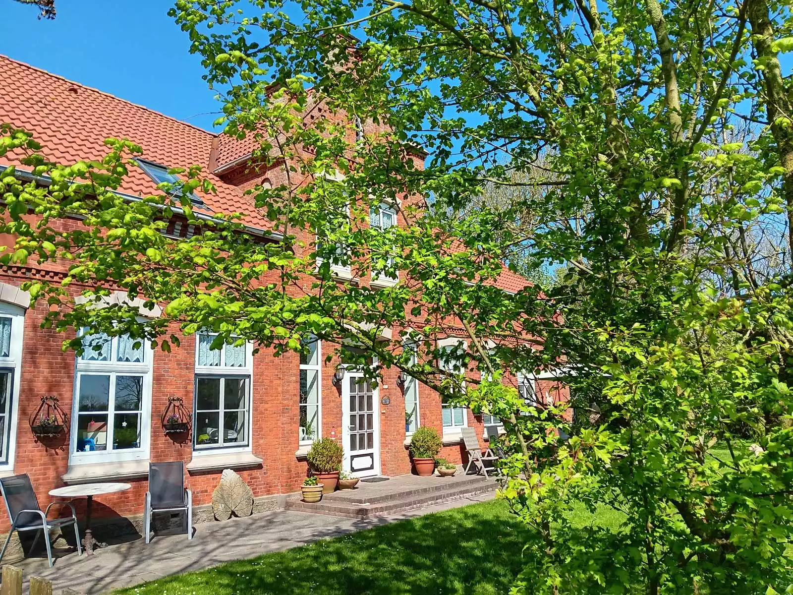 Hofansicht des Hof am Hörn auf Pellworm mit frischem Frühlingsgrün, Bäumen und Gartenmöbeln bei Sonnenschein