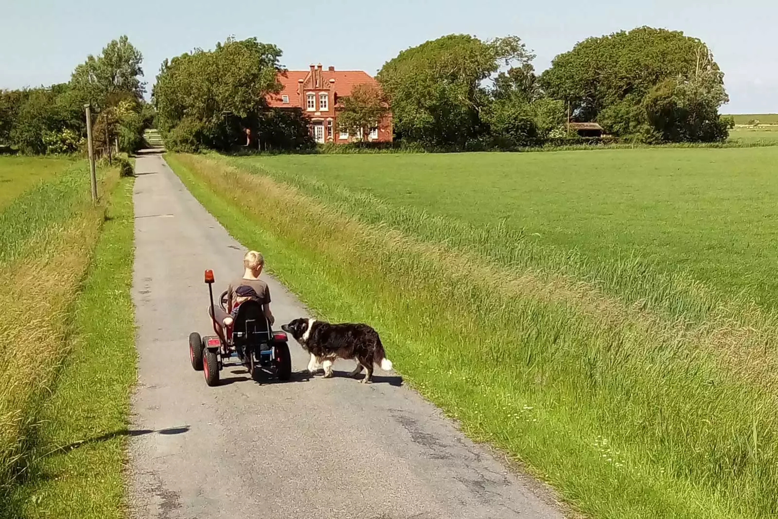 Zufahrt zum Ferienhof Hof am Hörn auf Pellworm mit Kind auf Trecker und Hofhund