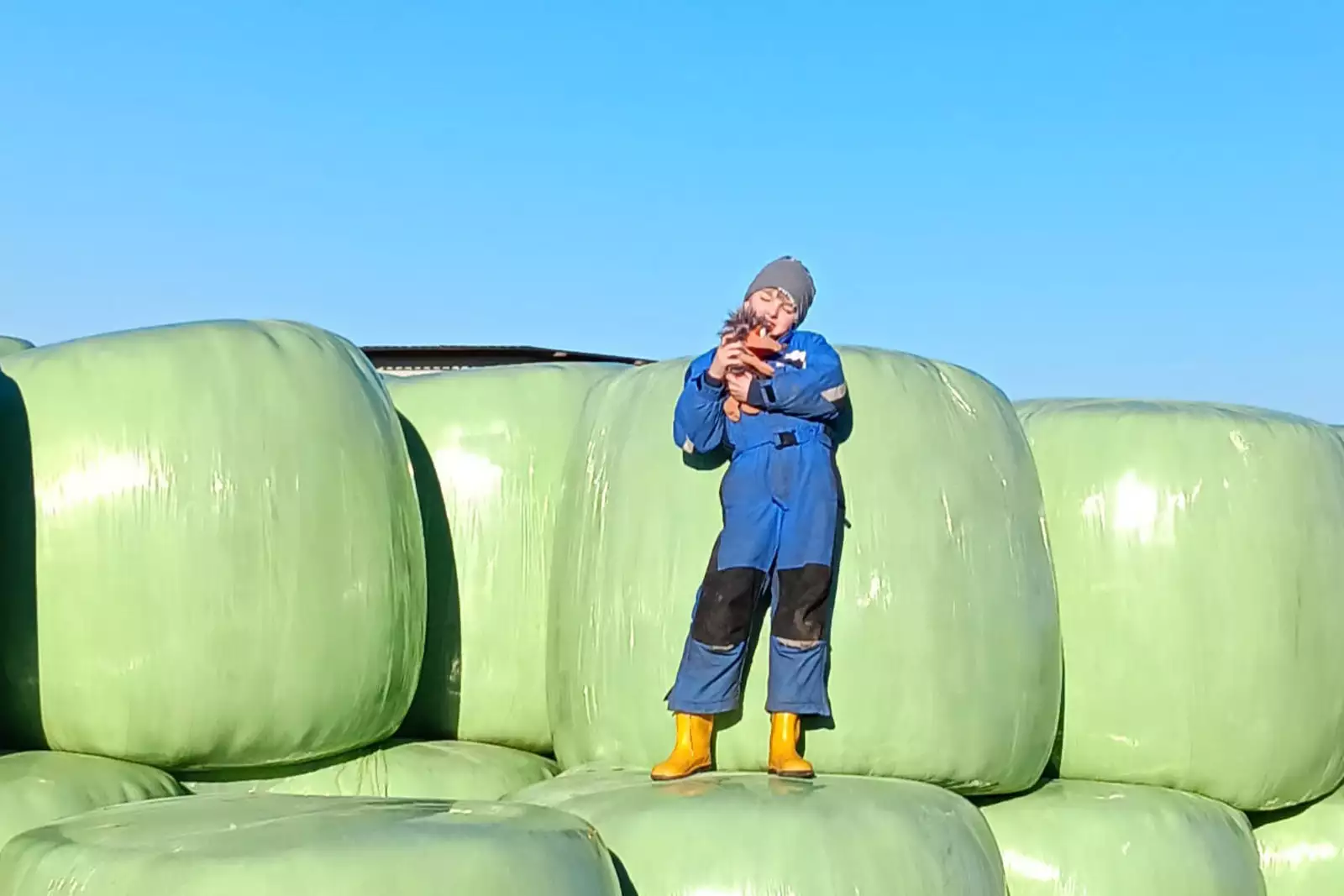 Kind auf Siloballen auf einem Bauernhof auf Pellworm – Urlaub auf dem Bauernhof an der Nordsee