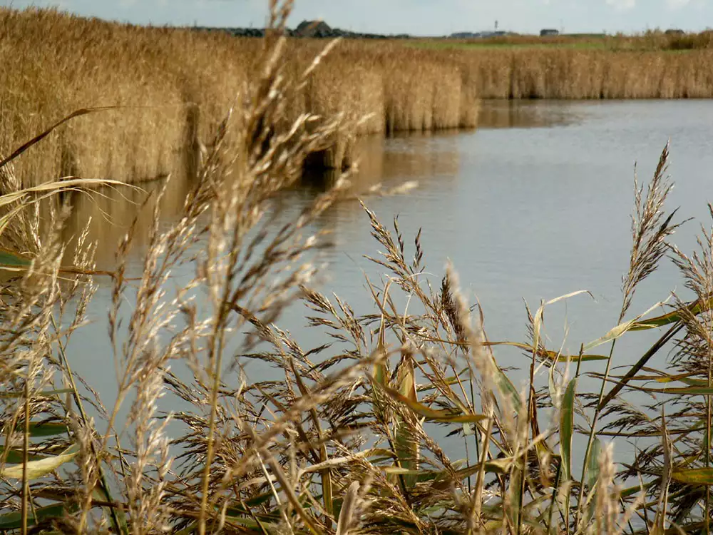 Die Abendsonne über der Nordsee mit Blick zum Unterfeuer sorgt für eine besondere Atmosphäre am Meer.