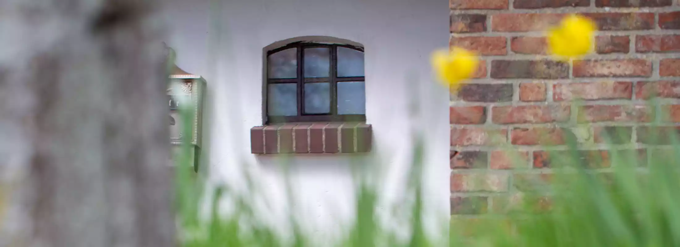 Fenster mit Briefkasten und blühenden Tulpen