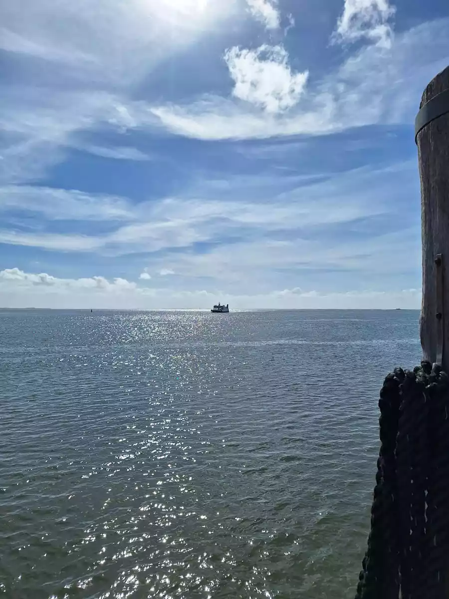 Ankommende Fähre am Pellwormer Fähranleger bei Sonnenschein über glitzerndem Nordseewasser