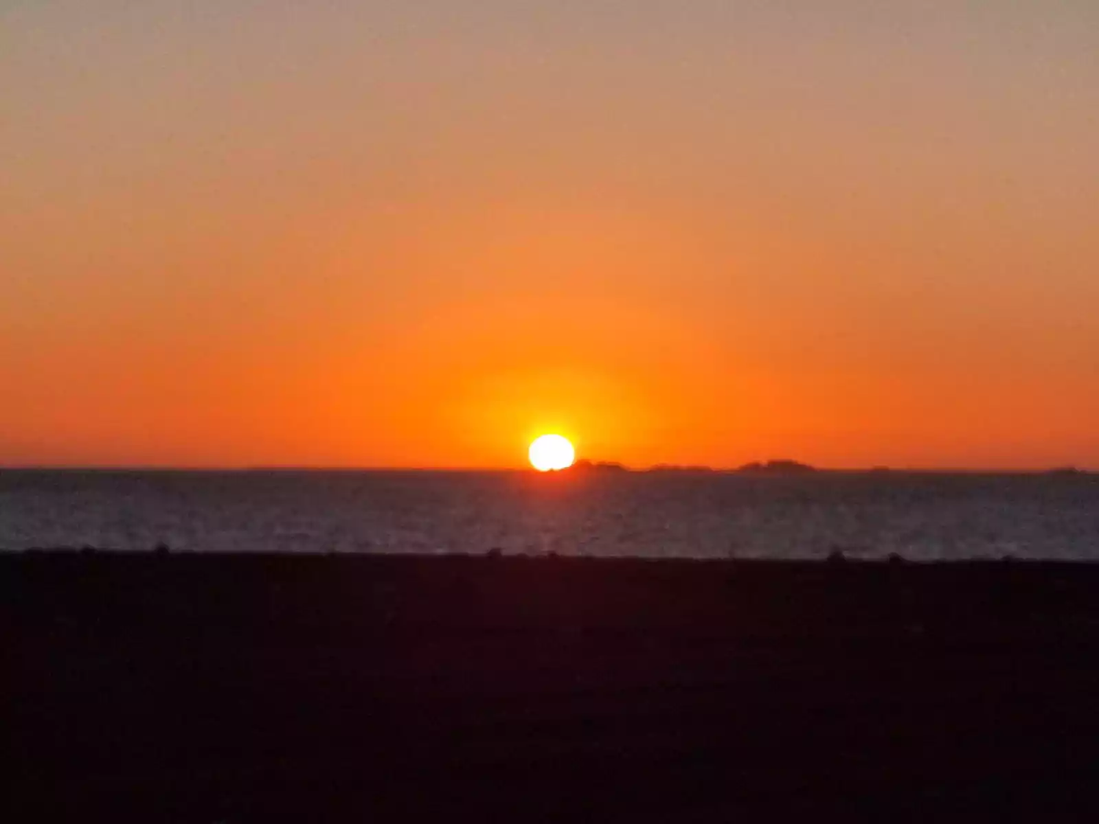 Roter Sonnenuntergang über dem Wattenmeer auf Pellworm mit großem Sonnenball am Horizont