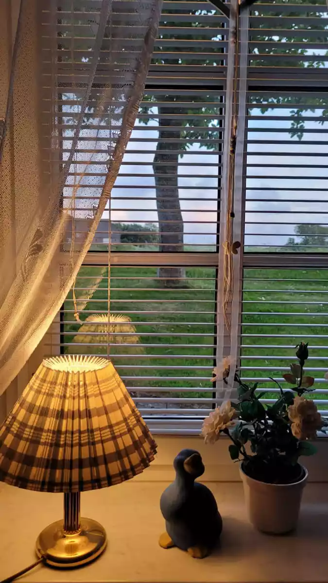 Abendliche Fensterstimmung in der Ferienwohnung Springflot mit leicht geöffneter Jalousie und kleiner Lampe