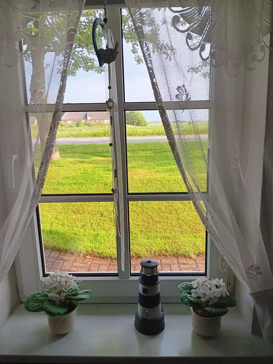 Blick aus dem Fenster der Ferienwohnung Springflot in Richtung Süd-West bei strahlendem Sonnenschein auf Pellworm