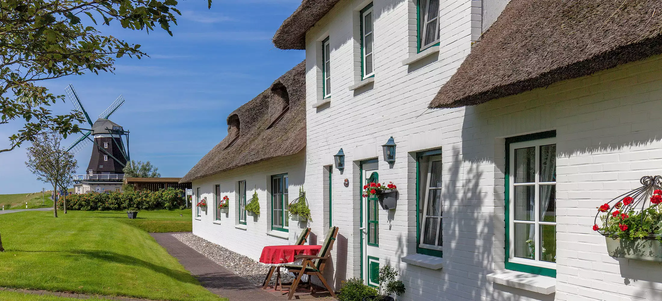 Dat Möhlenhus in der Sonne mit blühenden Blumen am Haus und Blick zur Nordermühle Pellworms