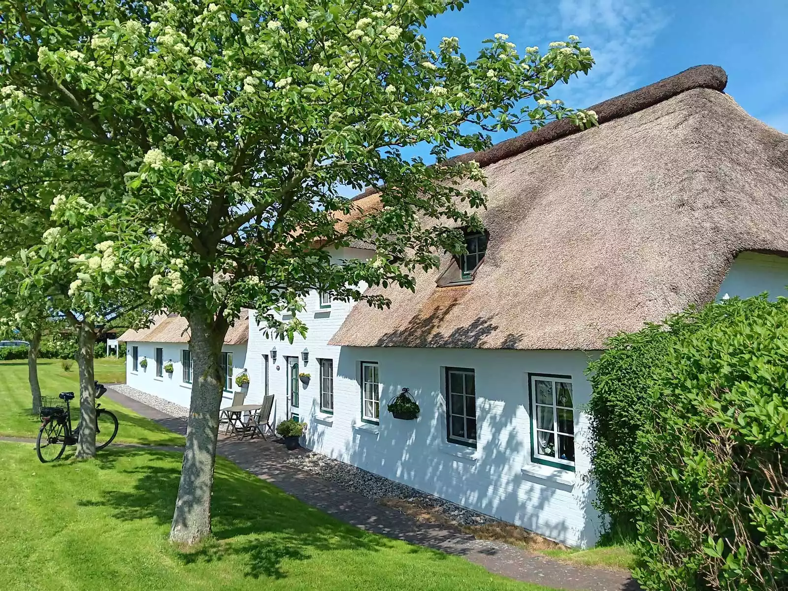 Frisch mit Reet gedecktes Dat Möhlenhus im Frühling mit blühenden Bäumen bei Sonnenschein