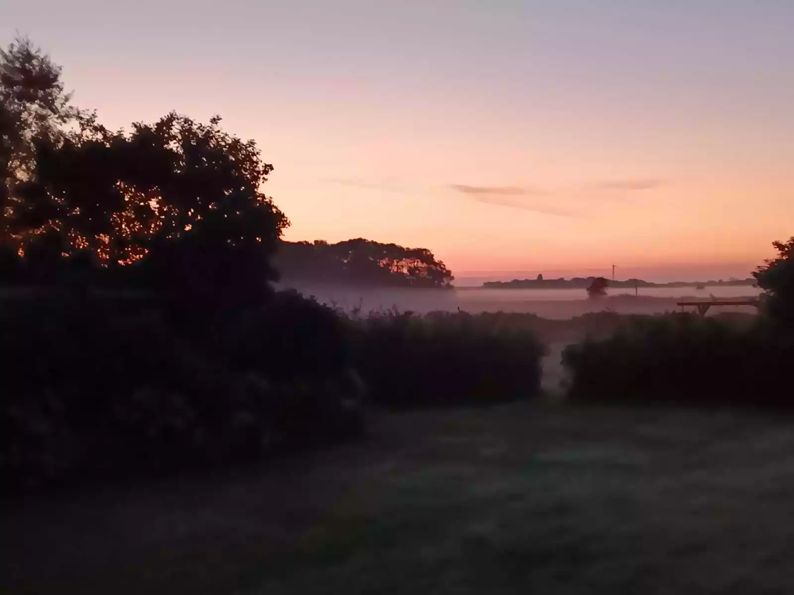 Abenddämmerung auf Pellworm mit Nebelfeldern über den Wiesen und warmem Abendlicht